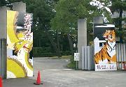 ɑw